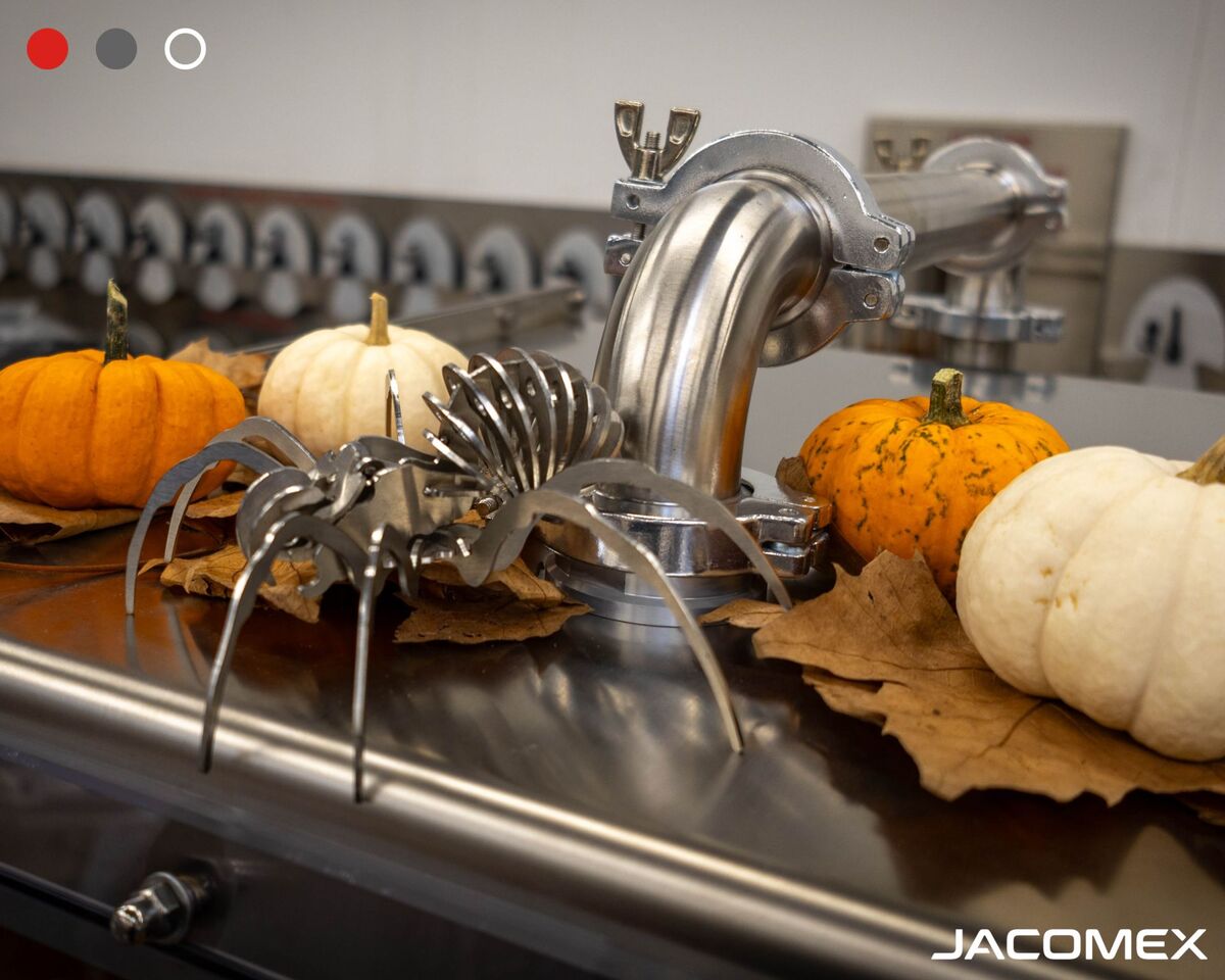 Un Halloween terrifiant avec notre amie l’araignée chez Jacomex Un Halloween terrifiant avec notre amie l’araignée chez Jacomex