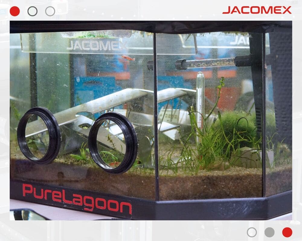 Poisson d&rsquo;Avril spécial chez Jacomex 