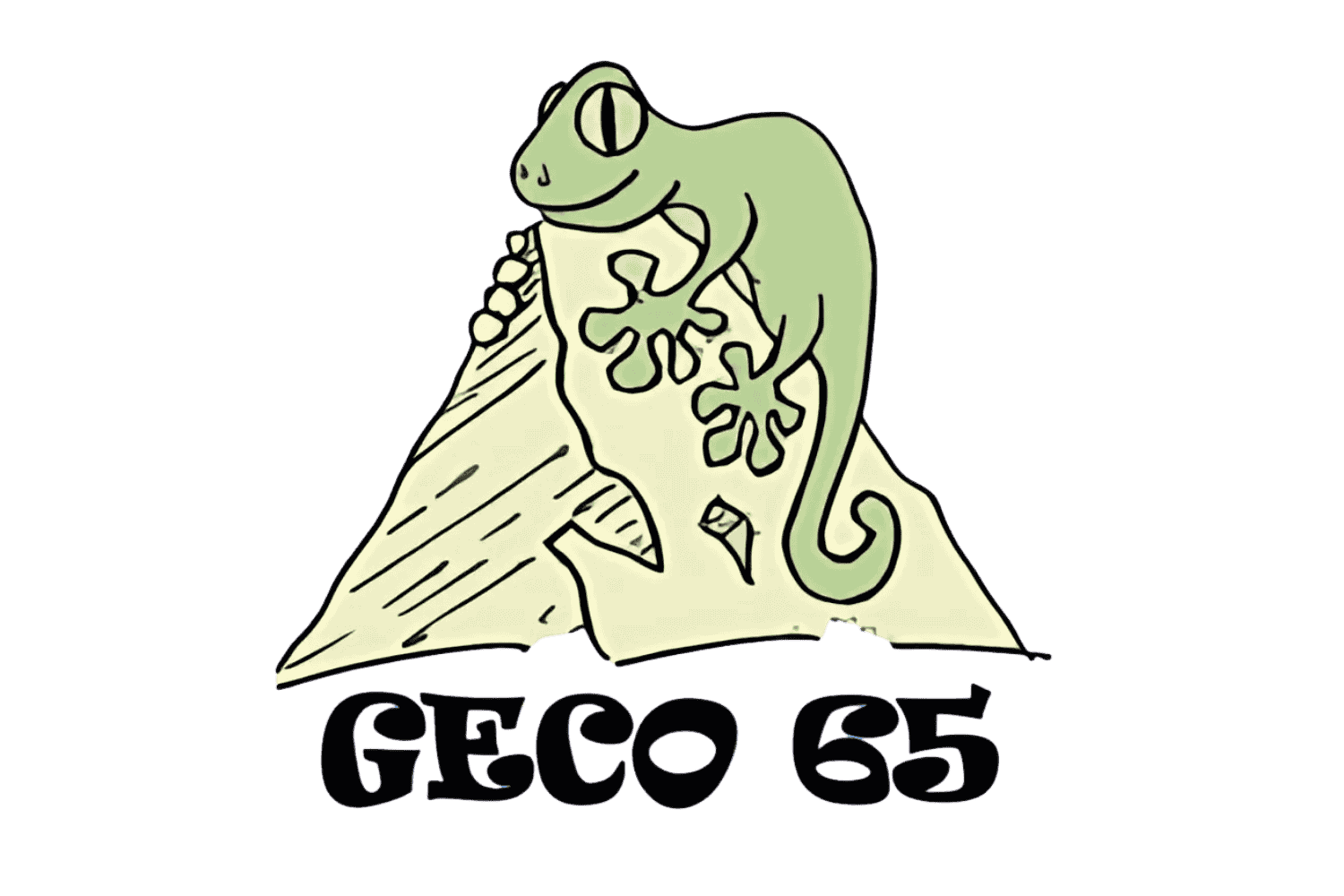 Congrès GECO 65