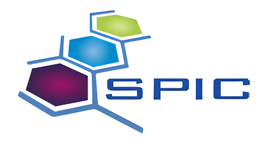 SPIC - Science et Technologie des Systèmes π Conjugués